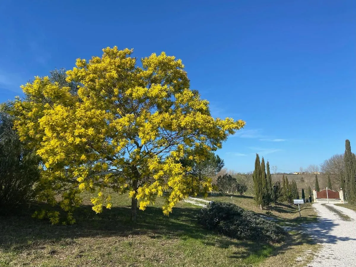 Bed And Breakfast Casale Del Sole Castellina Marittima 0*,