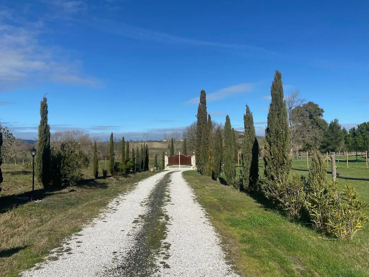 Bed And Breakfast Casale Del Sole Castellina Marittima Italy